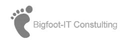 Bigfoot IT Consulting
