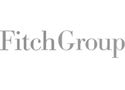 Fitch Group